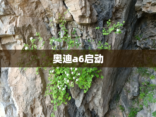 奥迪a6启动