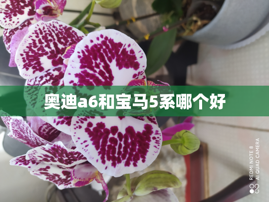 奥迪a6和宝马5系哪个好
