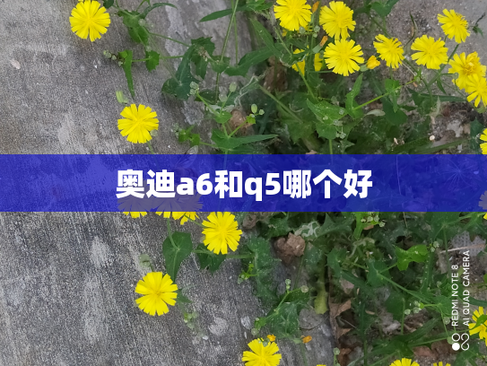 奥迪a6和q5哪个好