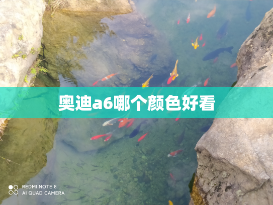 奥迪a6哪个颜色好看