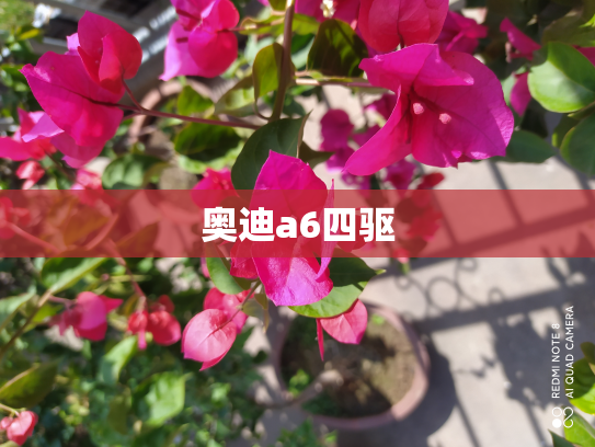 奥迪a6四驱