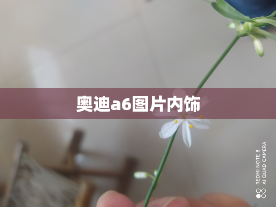 奥迪a6图片内饰