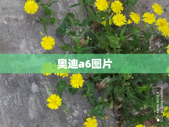 奥迪a6图片