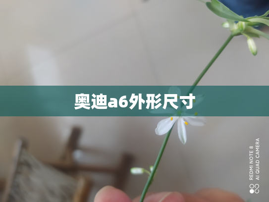 奥迪a6外形尺寸