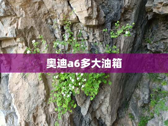 奥迪a6多大油箱