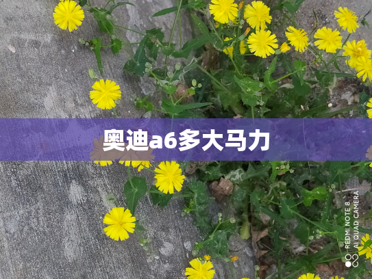 奥迪a6多大马力