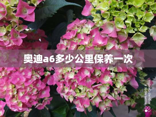 奥迪a6多少公里保养一次