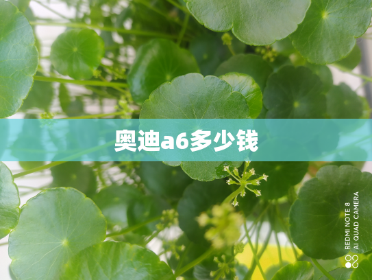 奥迪a6多少钱