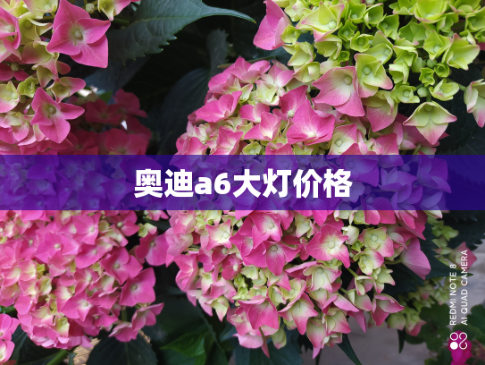 奥迪a6大灯价格
