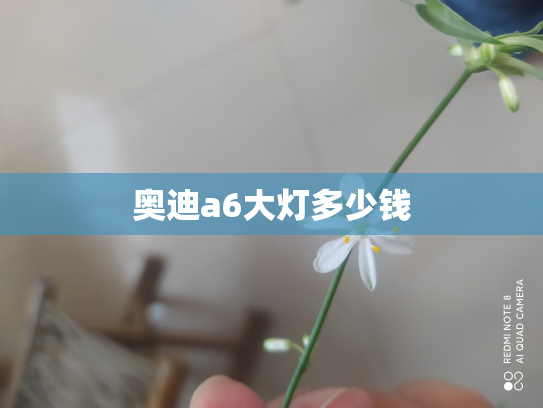 奥迪a6大灯多少钱