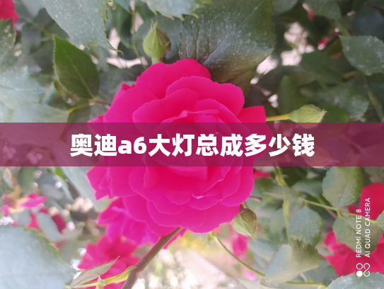 奥迪a6大灯总成多少钱