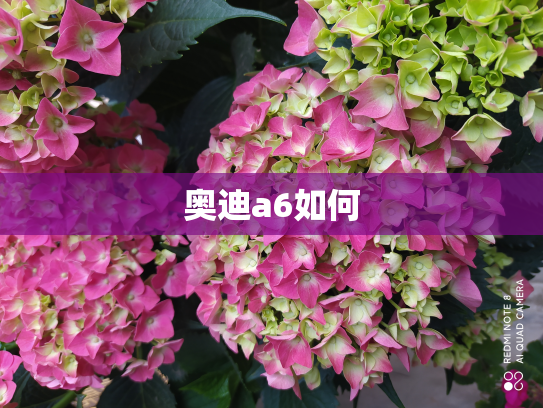 奥迪a6如何