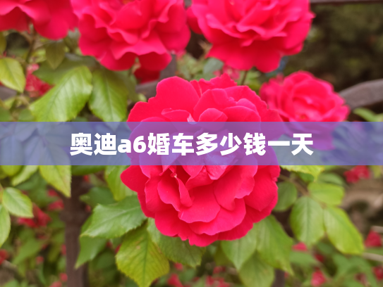 奥迪a6婚车多少钱一天