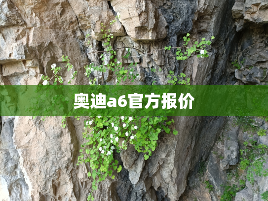 奥迪a6官方报价