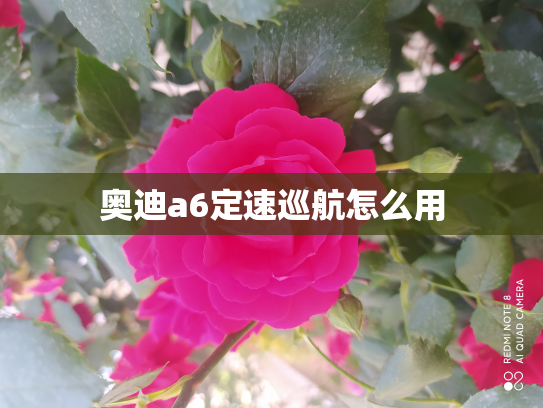 奥迪a6定速巡航怎么用