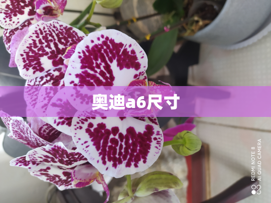 奥迪a6尺寸