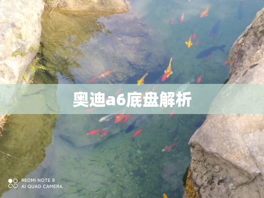 奥迪a6底盘解析