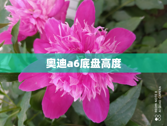 奥迪a6底盘高度