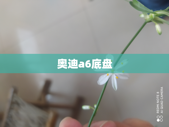 奥迪a6底盘