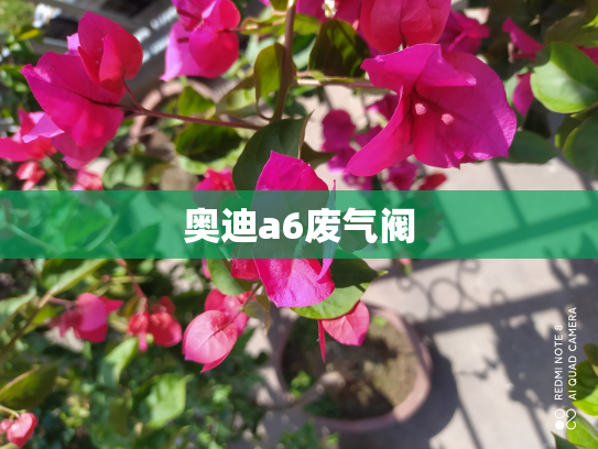奥迪a6废气阀