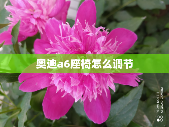 奥迪a6座椅怎么调节
