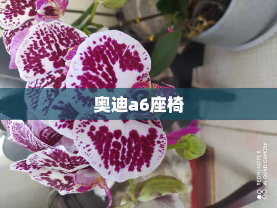 奥迪a6座椅