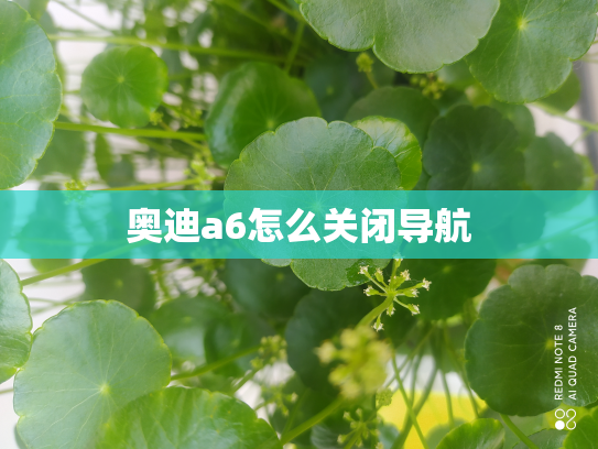 奥迪a6怎么关闭导航