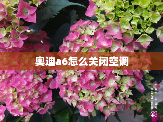 奥迪a6怎么关闭空调
