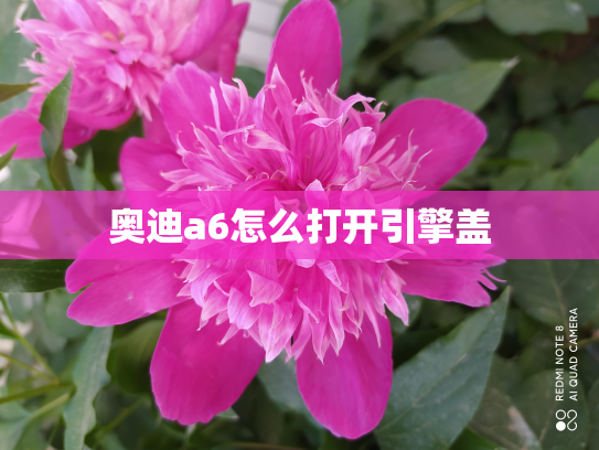 奥迪a6怎么打开引擎盖