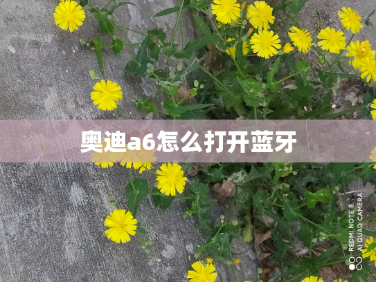 奥迪a6怎么打开蓝牙