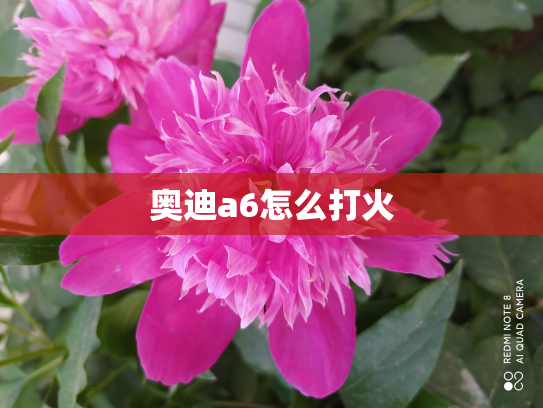 奥迪a6怎么打火