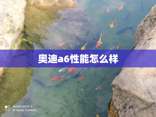 奥迪a6性能怎么样