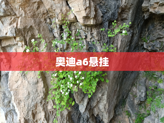 奥迪a6悬挂