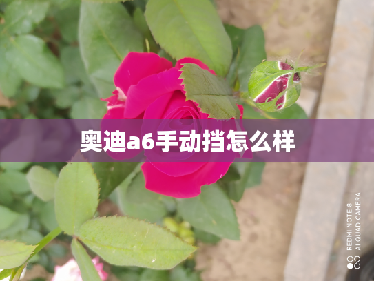 奥迪a6手动挡怎么样