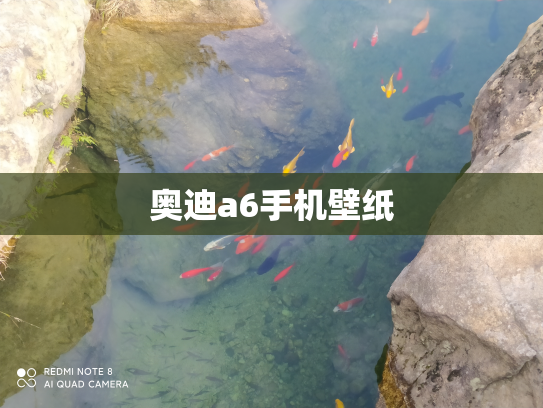 奥迪a6手机壁纸