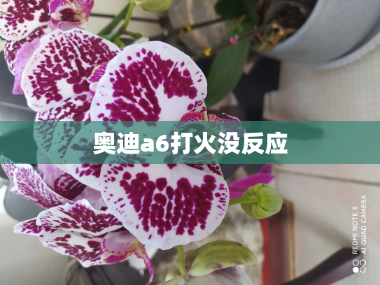 奥迪a6打火没反应