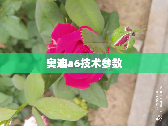 奥迪a6技术参数