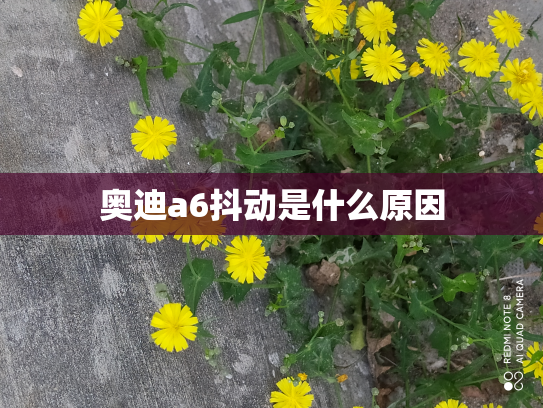 奥迪a6抖动是什么原因