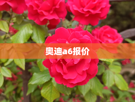 奥迪a6报价