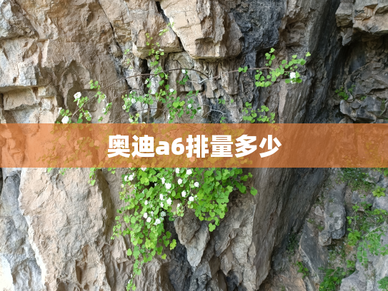 奥迪a6排量多少
