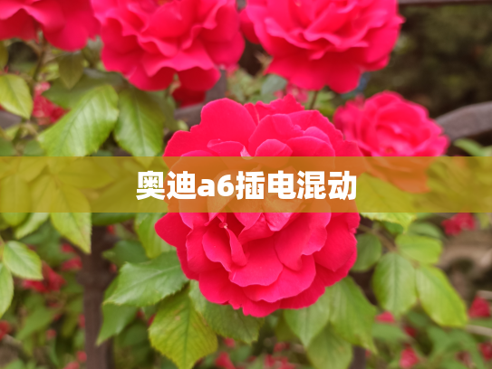 奥迪a6插电混动