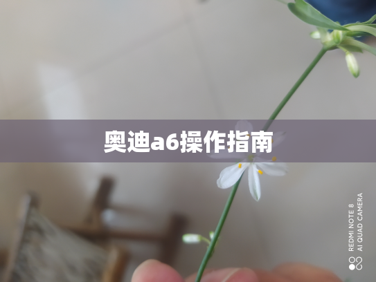 奥迪a6操作指南