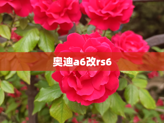 奥迪a6改rs6