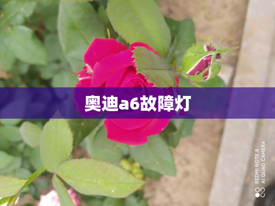 奥迪a6故障灯