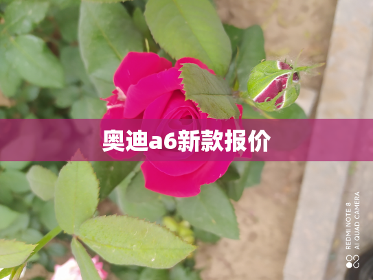奥迪a6新款报价