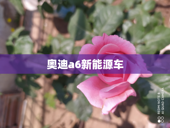 奥迪a6新能源车
