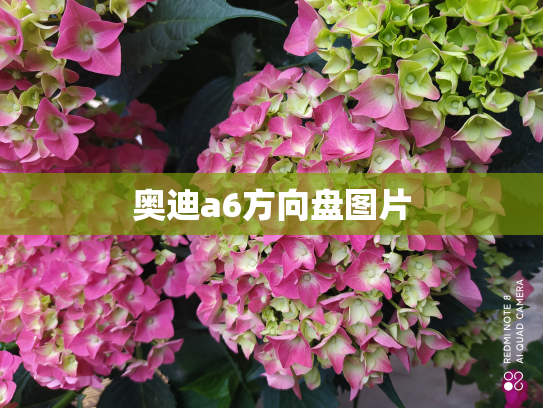 奥迪a6方向盘图片