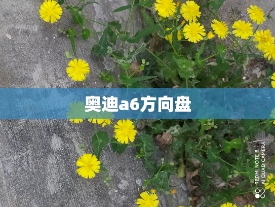 奥迪a6方向盘