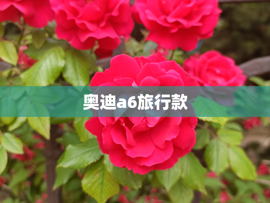 奥迪a6旅行款