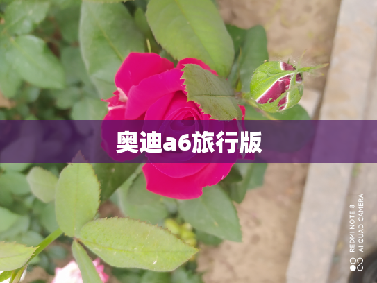 奥迪a6旅行版